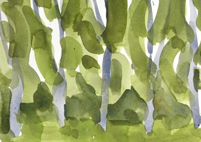 Edinburgh Botanical Gardens