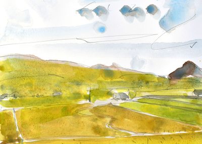 Peat bogs