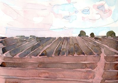 Autumn field
