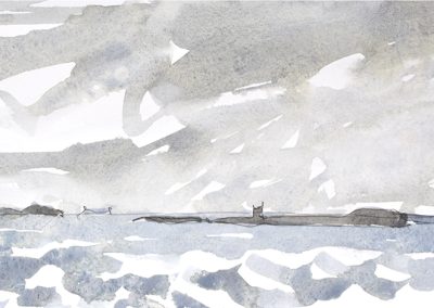 The Farne Islands, Northumberland